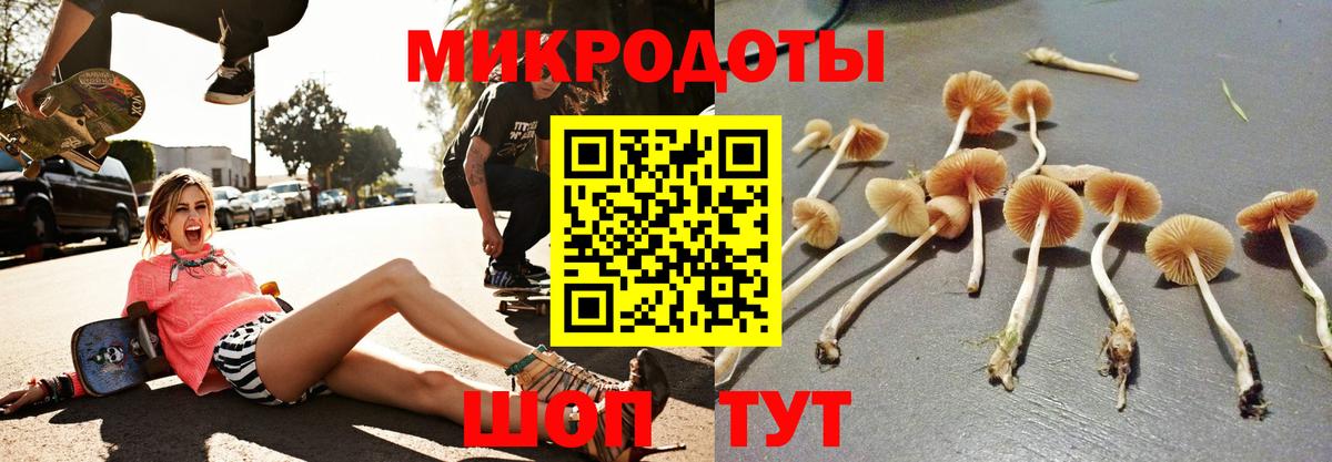 Псилоцибиновые грибы Cubensis Нефтекумск