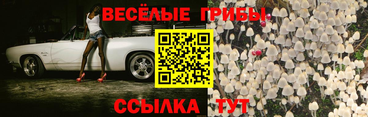 Галлюциногенные грибы GOLDEN TEACHER  Вход с VPN  Нефтекумск 