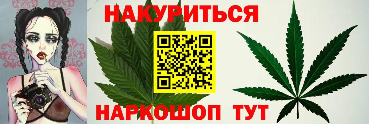 Бошки марихуана семена Нефтекумск